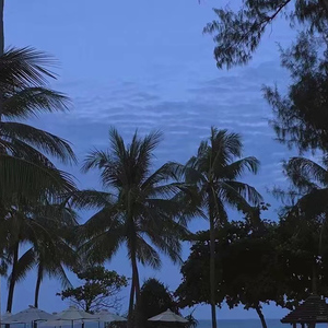 丝袜取精的十个小窍门
