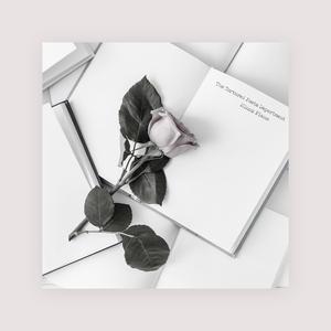 丝袜取精的十个小窍门
